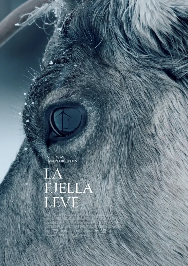 Kino: La fjella leve