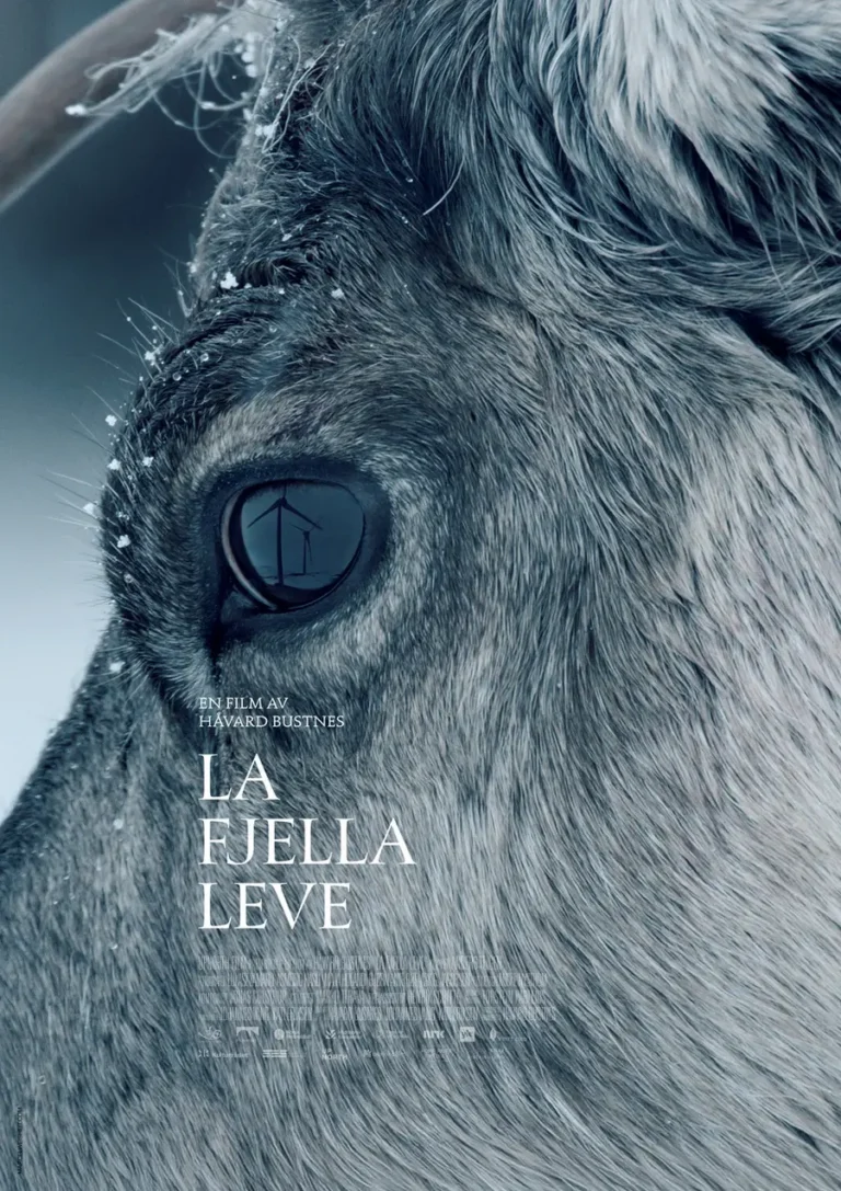 Kino: La fjella leve
